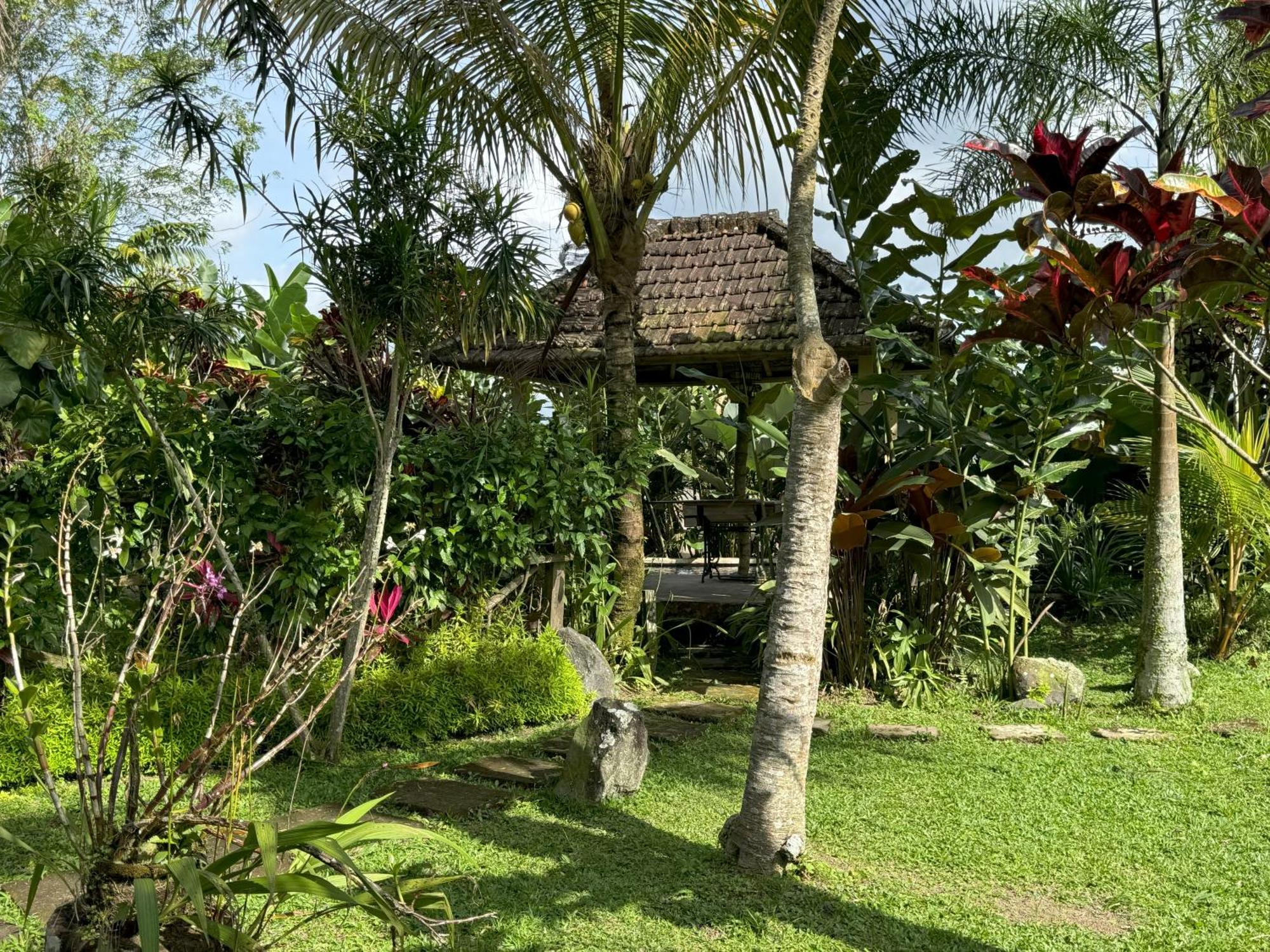 Dewa Jati Cottages Payangan Esterno foto
