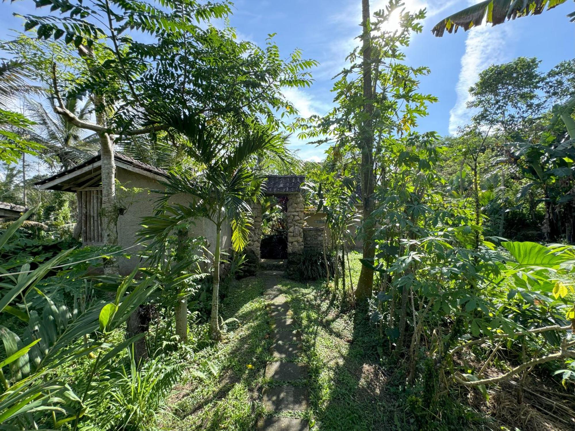 Dewa Jati Cottages Payangan Esterno foto