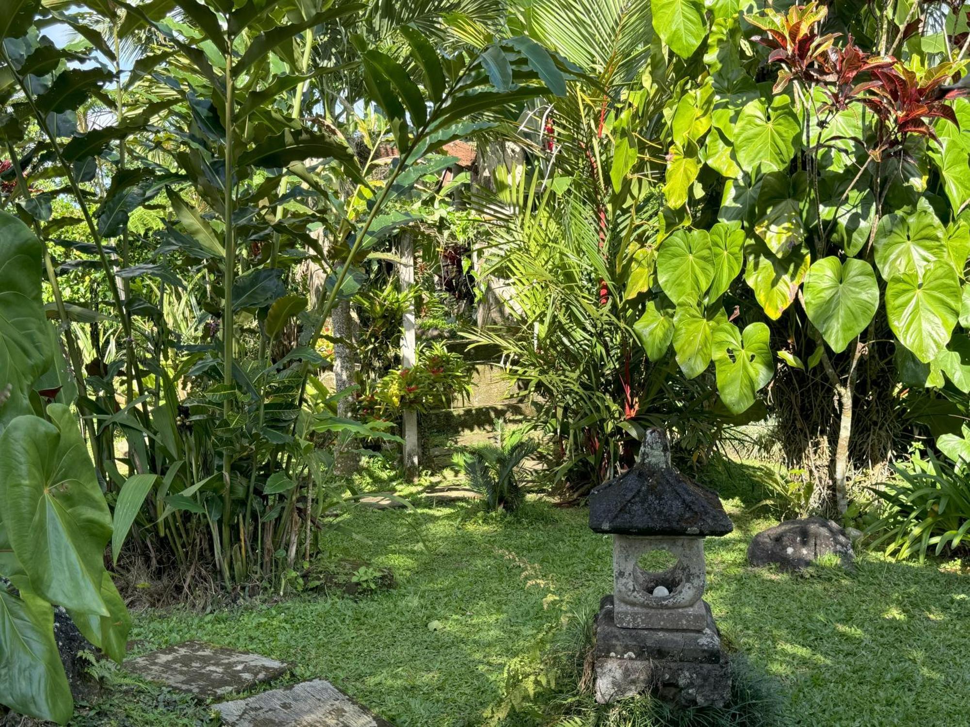 Dewa Jati Cottages Payangan Esterno foto