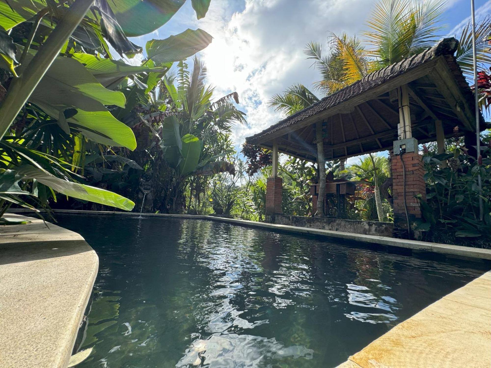Dewa Jati Cottages Payangan Esterno foto