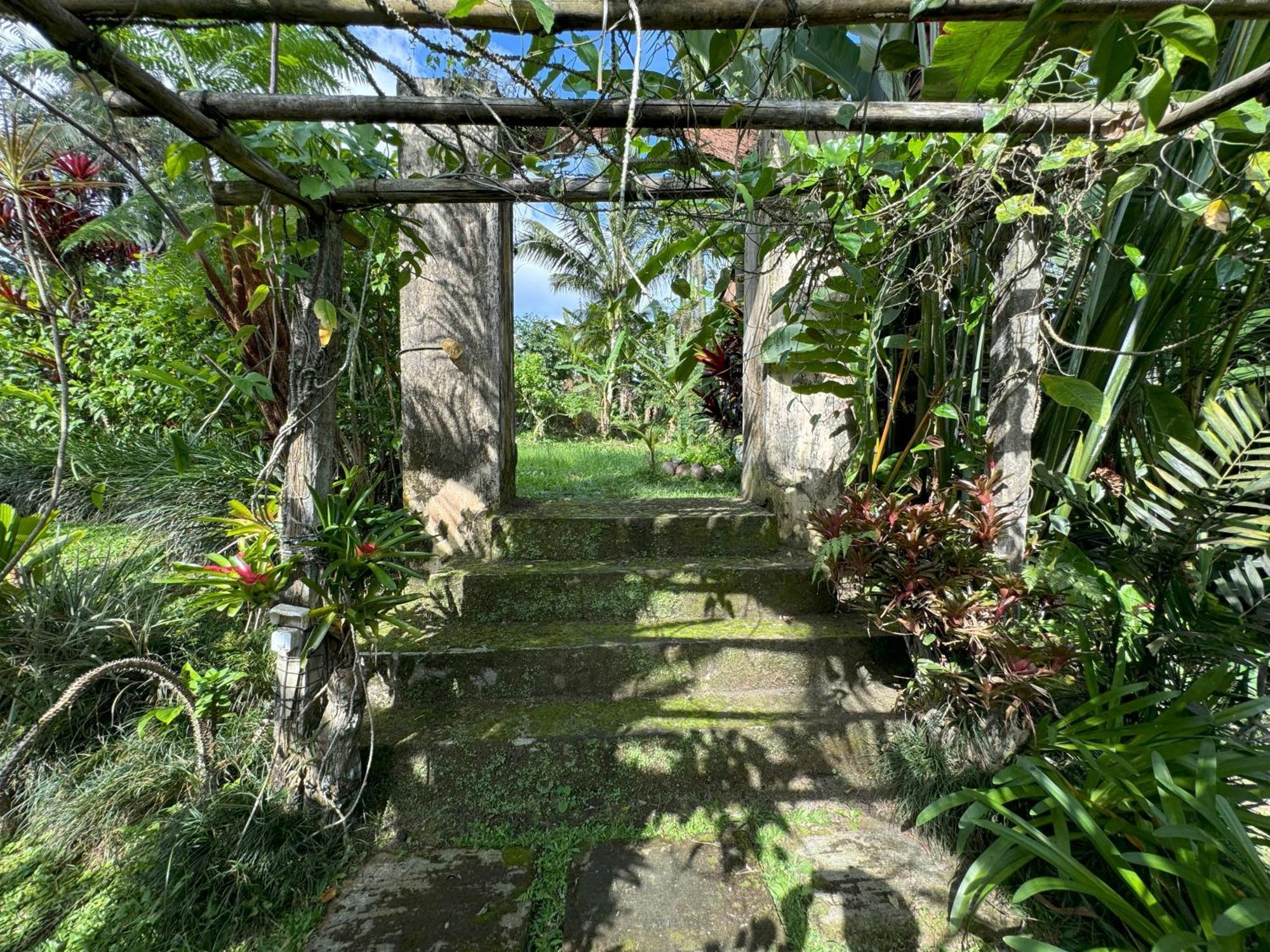 Dewa Jati Cottages Payangan Esterno foto