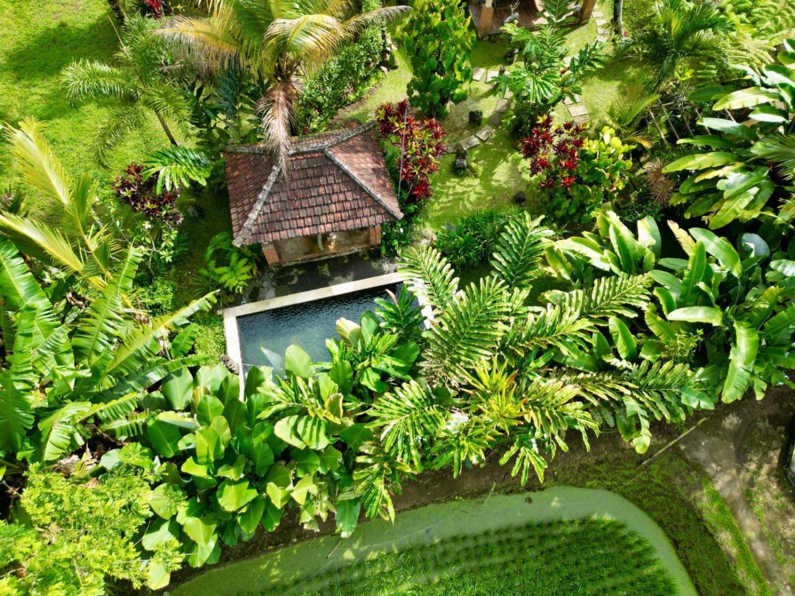 Dewa Jati Cottages Payangan Esterno foto