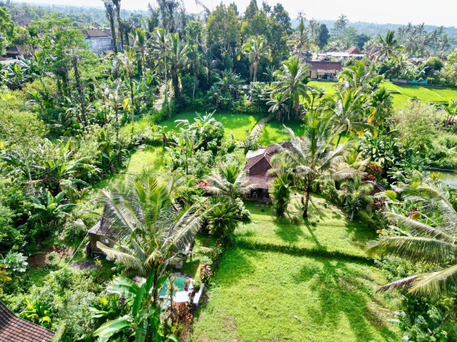 Dewa Jati Cottages Payangan Esterno foto