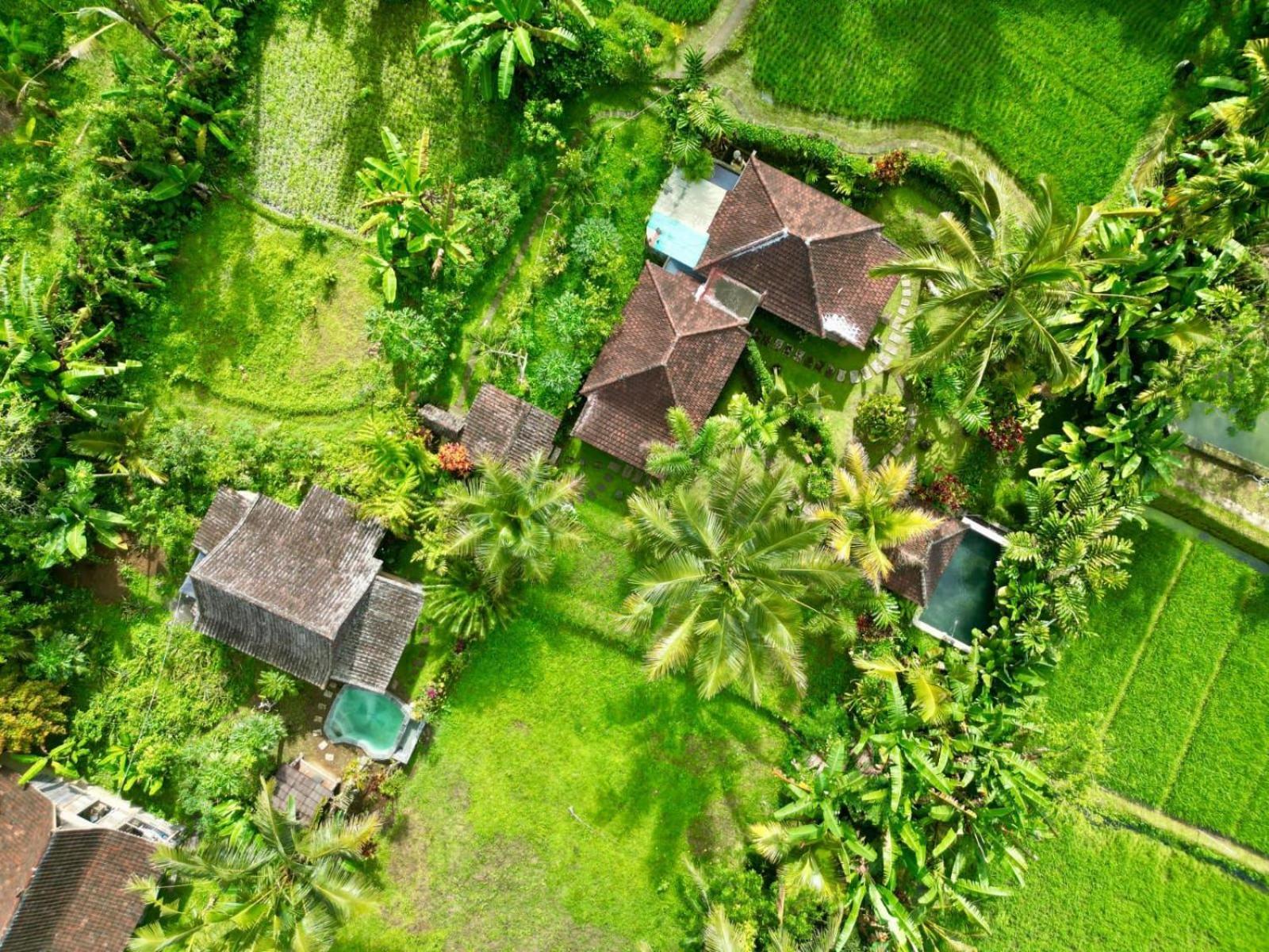 Dewa Jati Cottages Payangan Esterno foto
